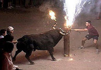 El toro 'embolao', una de las tradiciones de la Semajna Santa gaditana